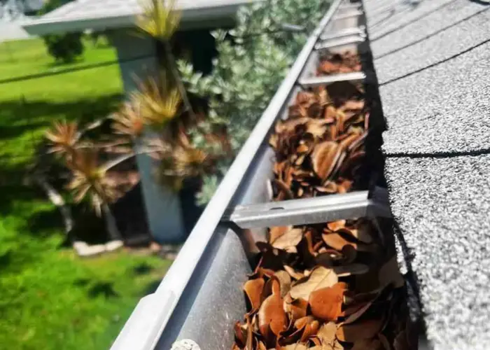 Lake Elmo gutter cleaning home page